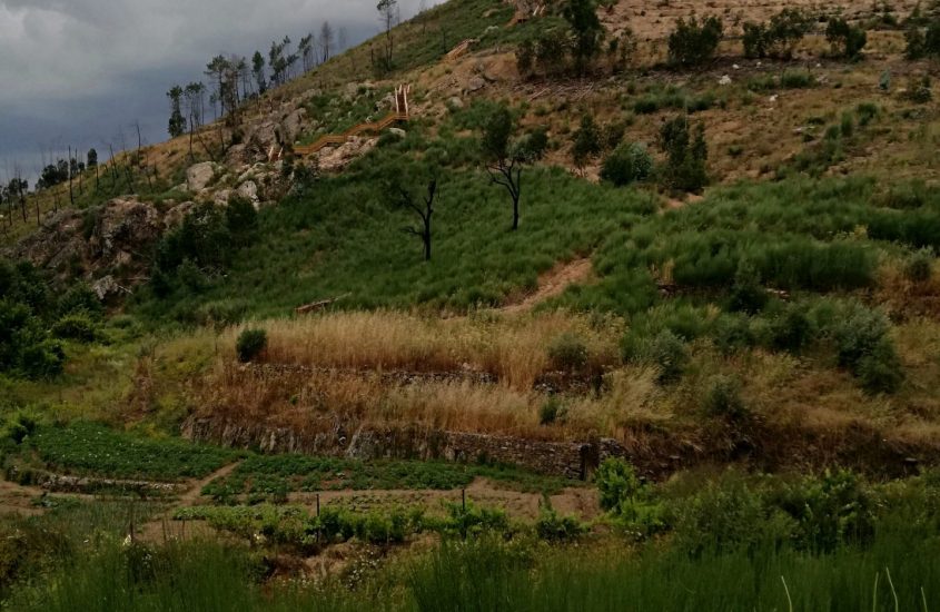 Campos Aldeia do Orvalho